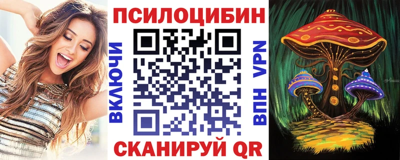 Галлюциногенные грибы Psilocybine cubensis  Козловка 