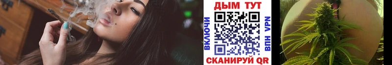 omg ссылки  Козловка  МАРИХУАНА сатива  как найти наркотики 